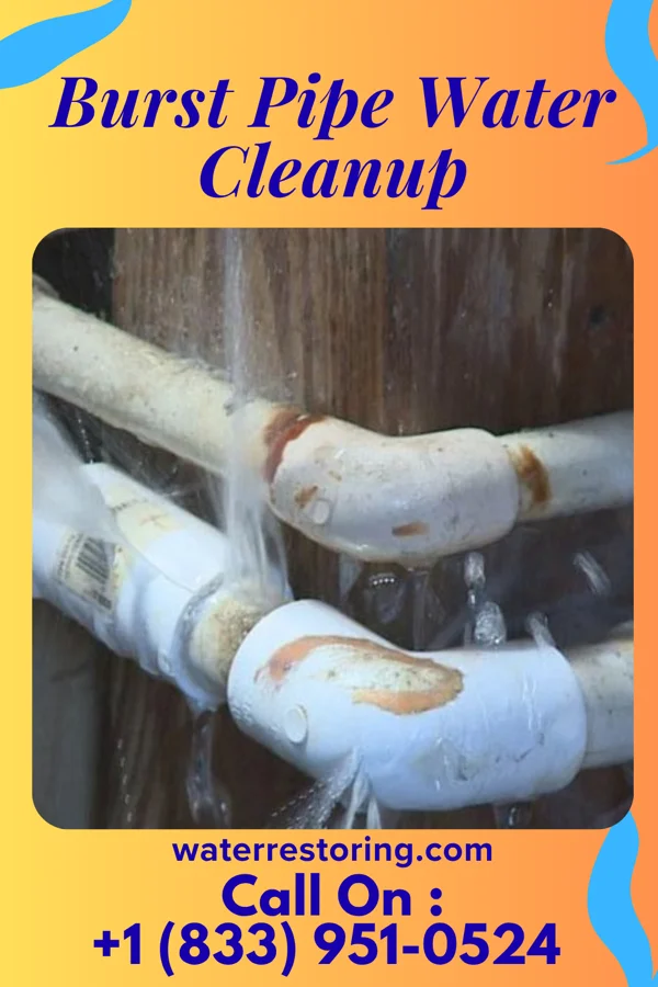 Burst Pipe Water Cleanup in Venetian Village, IL
