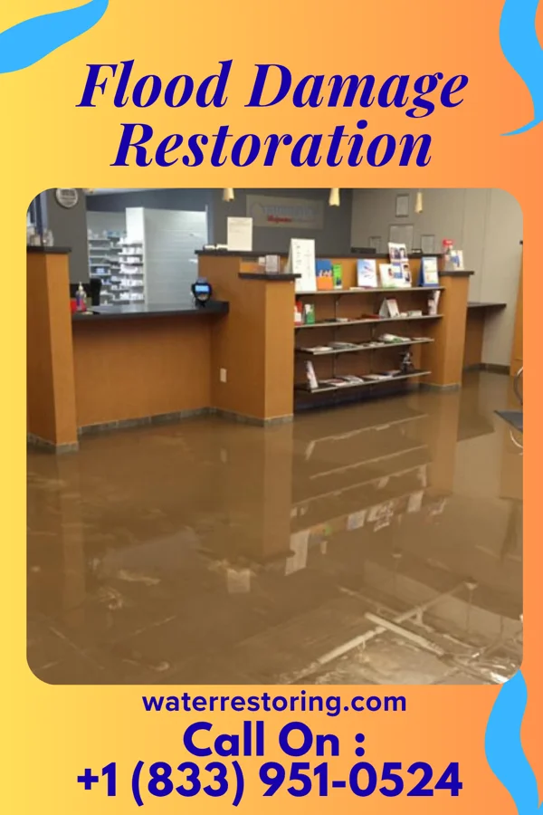 Flood Damage Restoration in Venetian Village, IL
